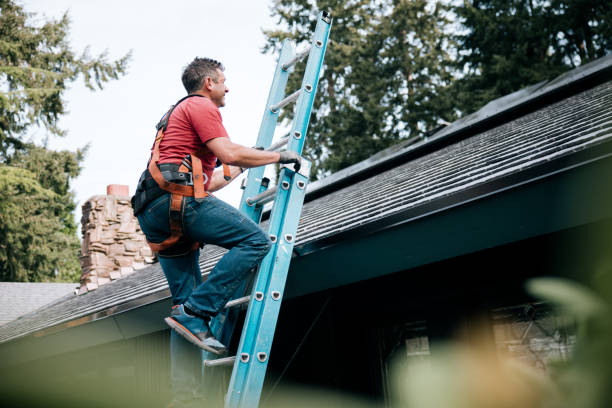 Best Roof Ventilation Installation  in Cass City, MI