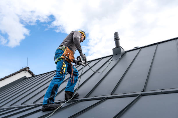 Best Roof Leak Repair  in Cass City, MI